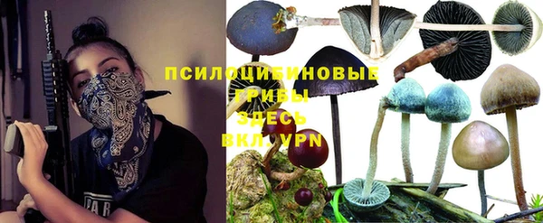 каннабис Алзамай