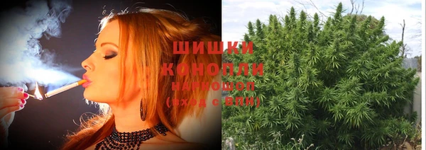 каннабис Алзамай