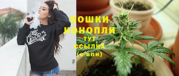 ECSTASY Майский